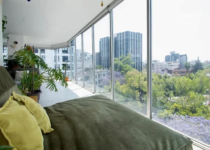 View For Plant Lovers In Condesa *