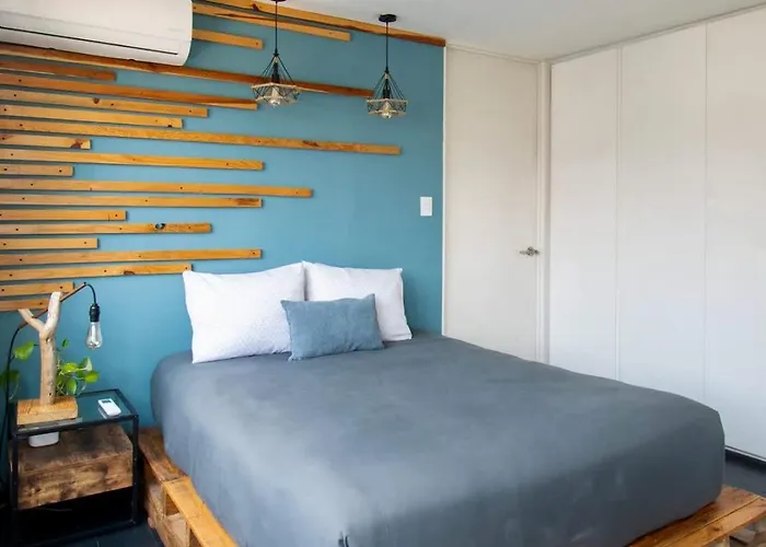 View For Plant Lovers In Condesa Appartement Mexico