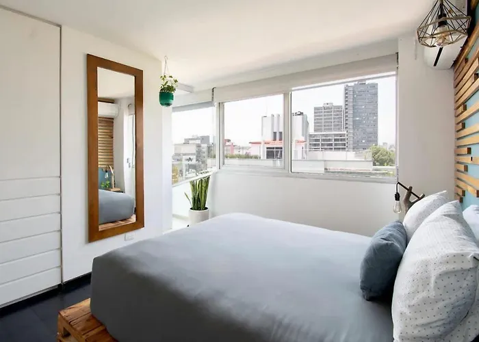 View For Plant Lovers In Condesa *