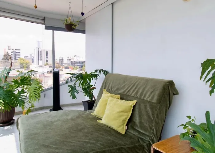 Appartement View For Plant Lovers In Condesa