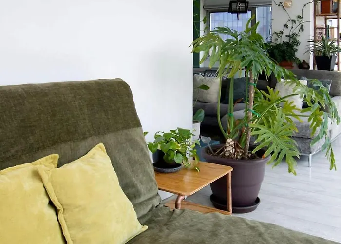 View For Plant Lovers In Condesa Appartement *