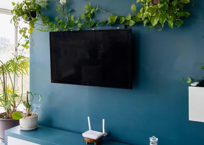 View For Plant Lovers In Condesa *