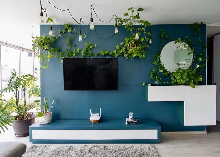 View For Plant Lovers In Condesa *