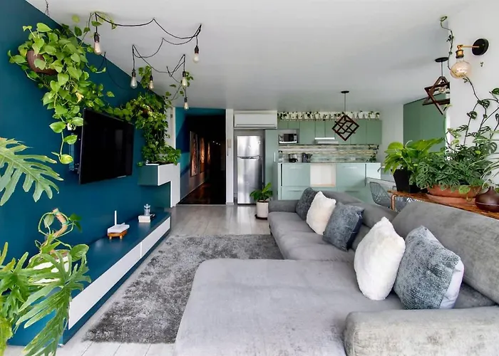 View For Plant Lovers In Condesa *