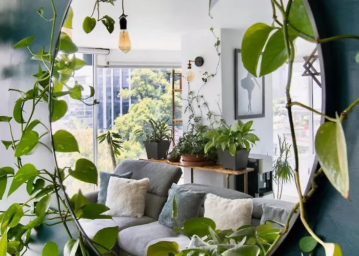 Appartement View For Plant Lovers In Condesa