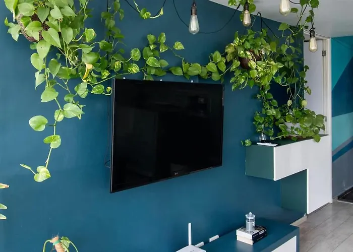 View For Plant Lovers In Condesa Mexico