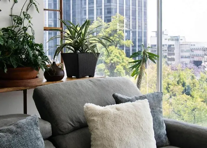 View For Plant Lovers In Condesa Appartement