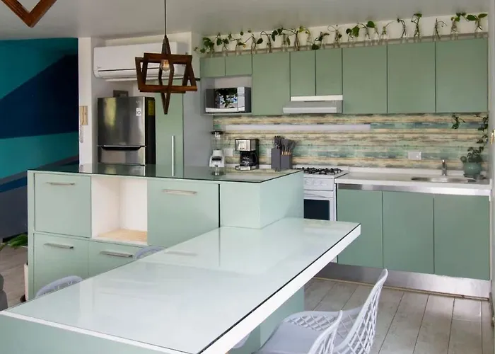 View For Plant Lovers In Condesa Appartement Mexico