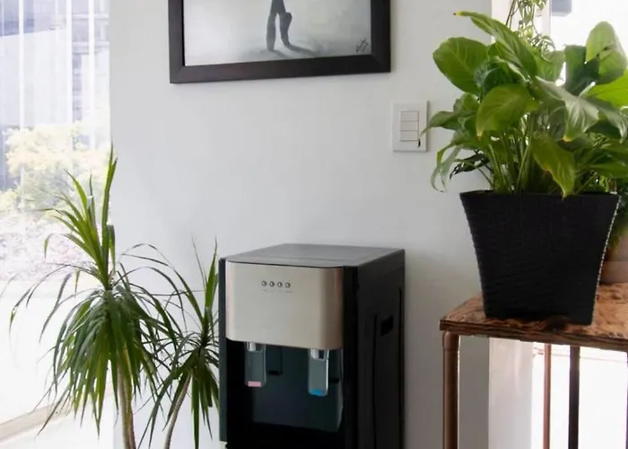 View For Plant Lovers In Condesa *