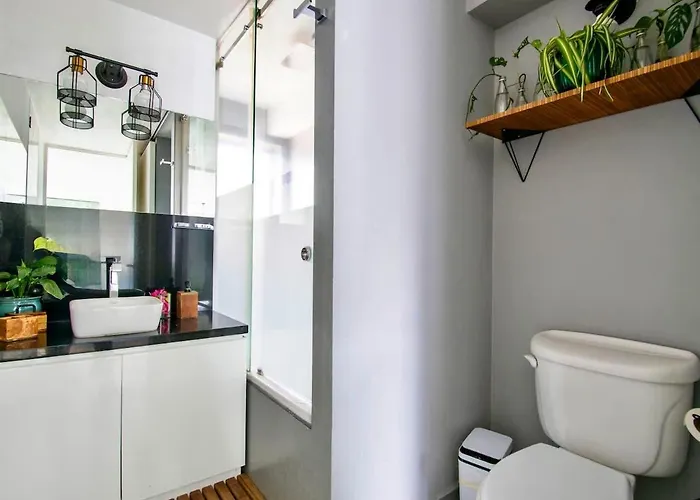 Appartement View For Plant Lovers In Condesa *