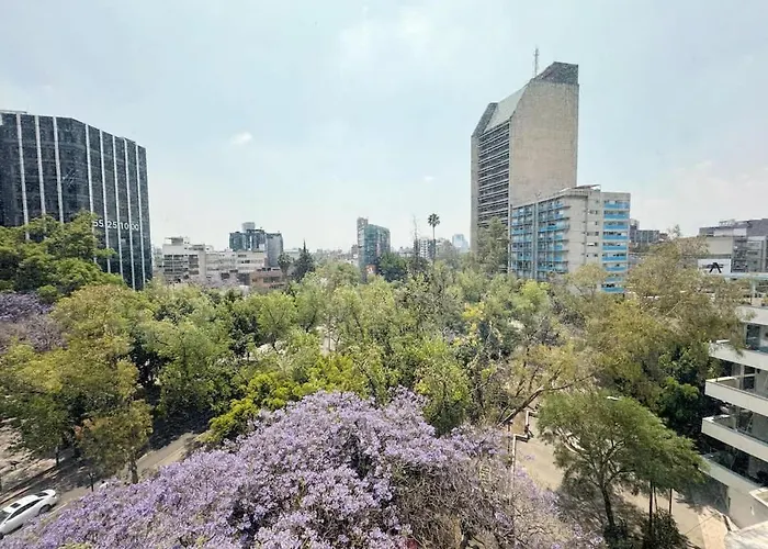 Appartement View For Plant Lovers In Condesa *