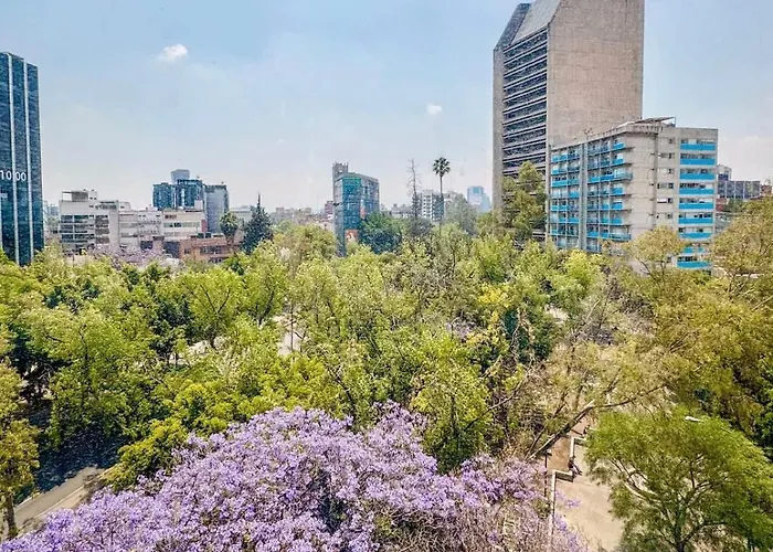 View For Plant Lovers In Condesa * Mexico
